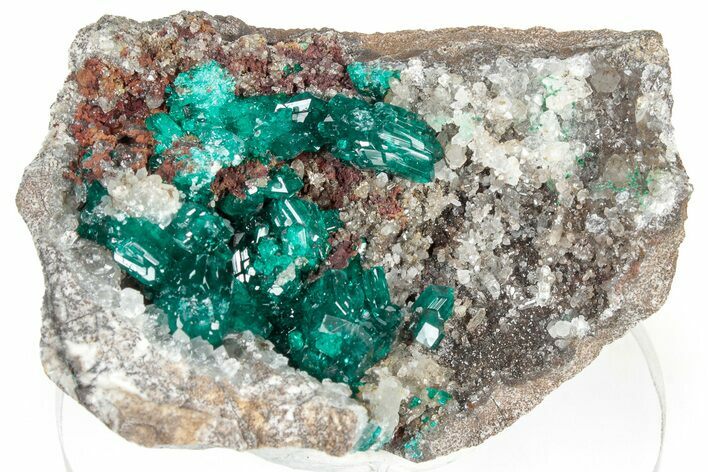 Gemmy Dioptase Crystals on Quartz - Congo #306094